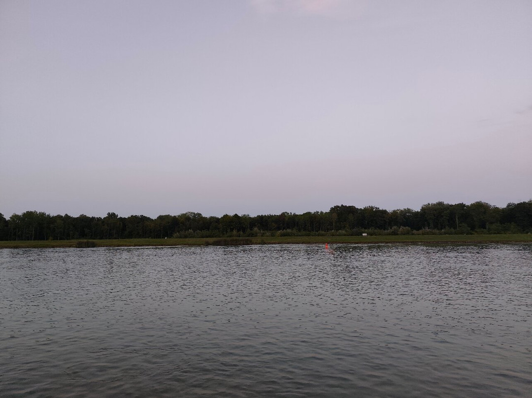 Breisacher Fahrgast Schiffahrt-Breisach am Rhein必去景点