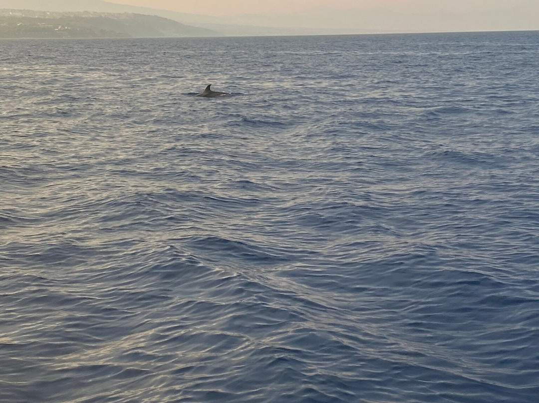 Navigando per Aci Trezza-Acitrezza必去景点