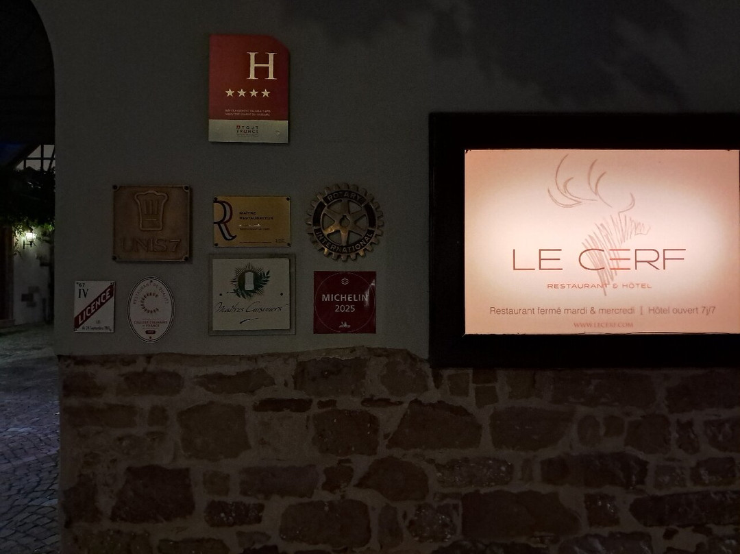 塞尔夫酒店主图