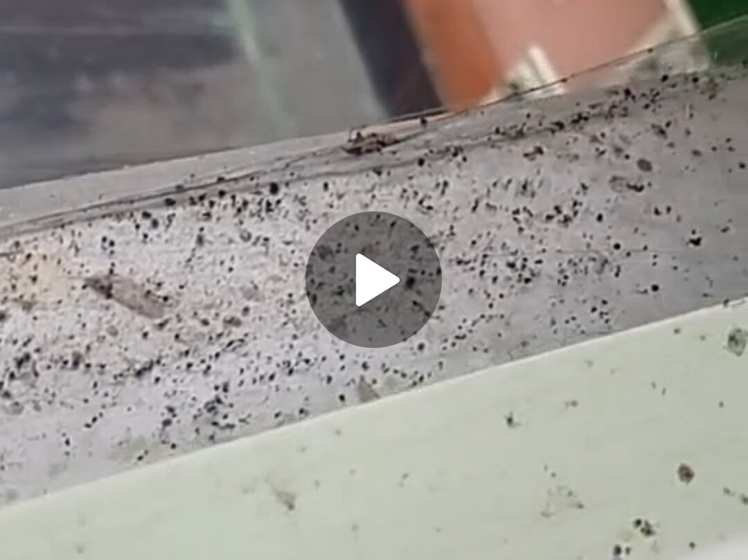 Sport Hotel Terme di Bresimo主图