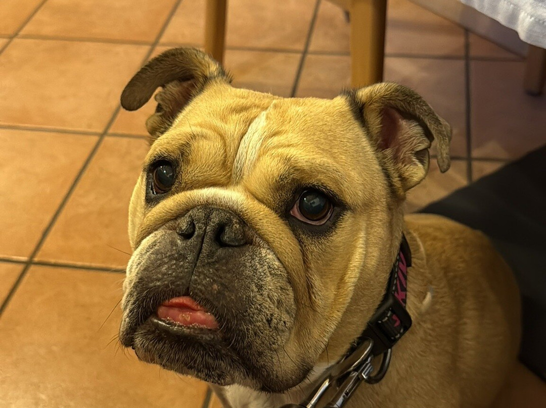 Alpine Touring Hotel主图