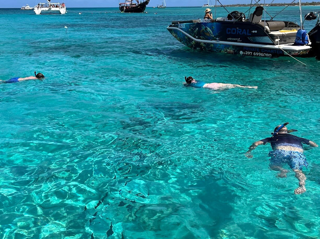 Private Snorkeling Aruba-棕榈/鹰海滩必去景点