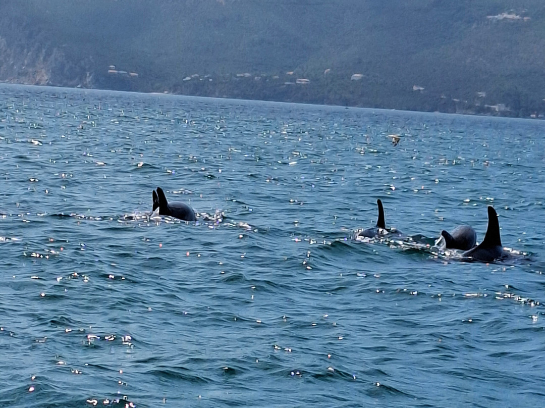 Sado Emotion-特罗亚必去景点