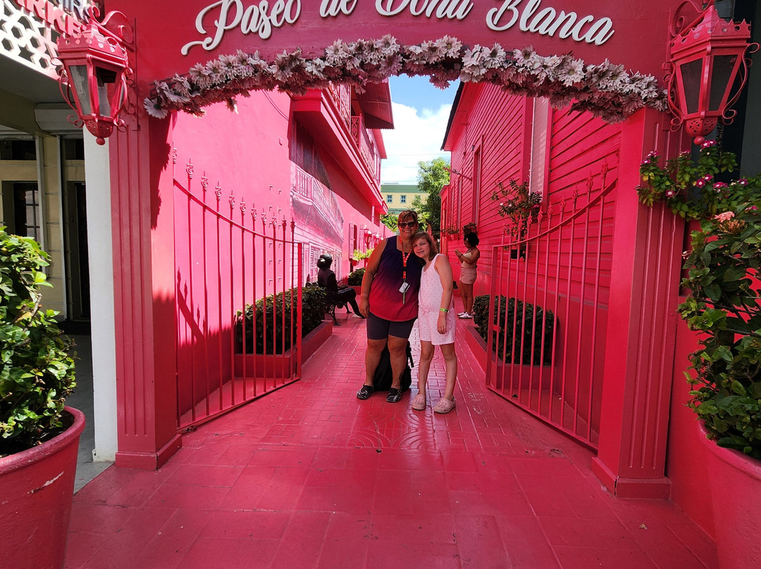 Dominican Atlantic Transfers & Tours-普拉塔港必去景点