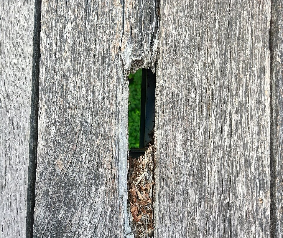 Pauley Bridge-Pikeville必去景点