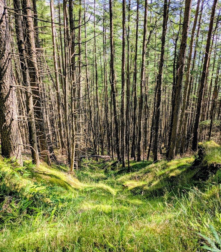 Cow Hill-威廉堡必去景点