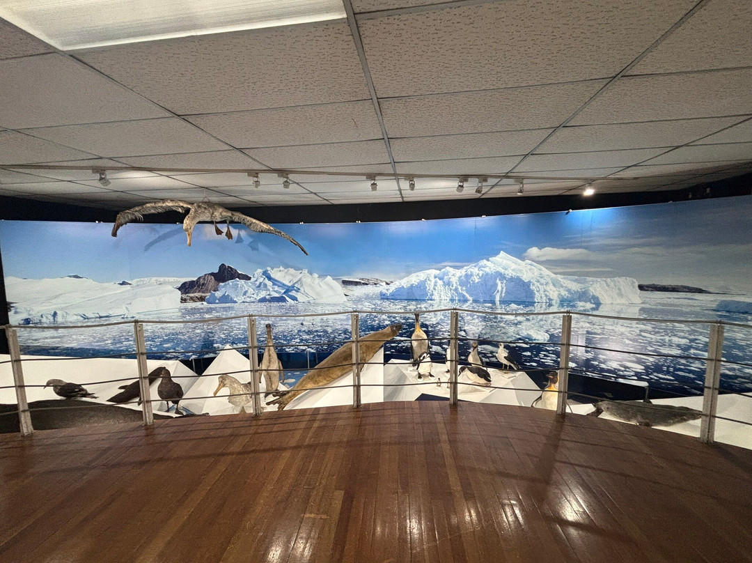 Museo Salesiano / Magiorinno Borgatello-蓬塔阿雷纳斯必去景点