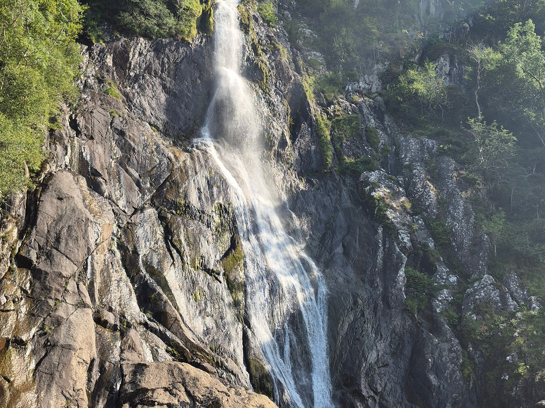 Lon y Traeth Bed & Breakfast主图