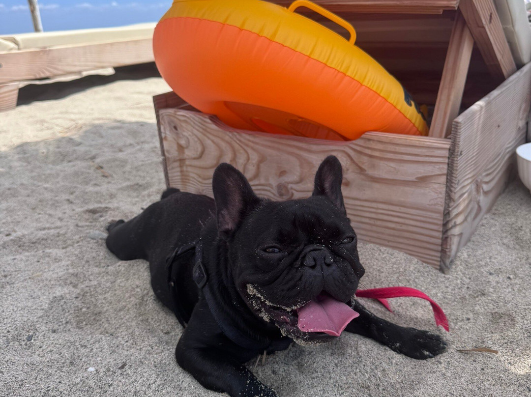 Maja Beach Club-Badolato Marina必去景点