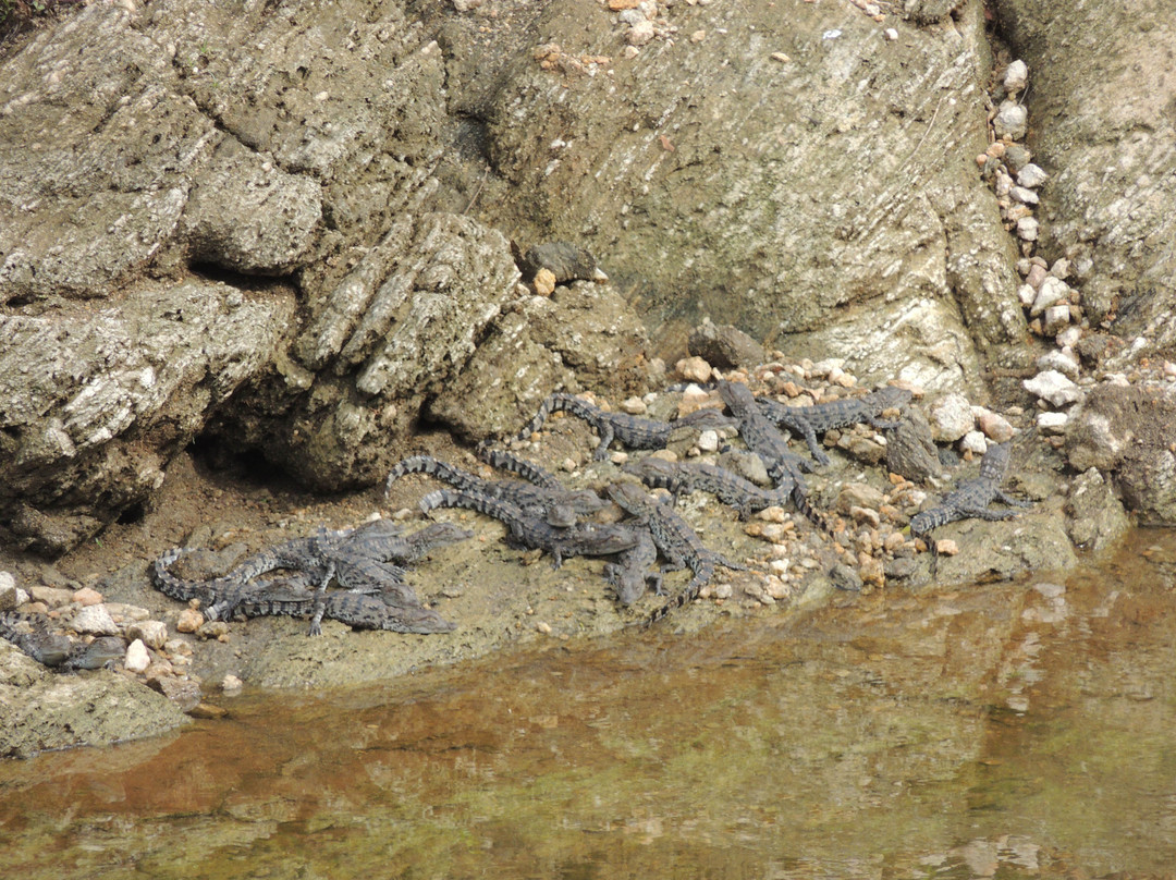 Nimsara Yala Safari-蒂瑟默哈拉默必去景点