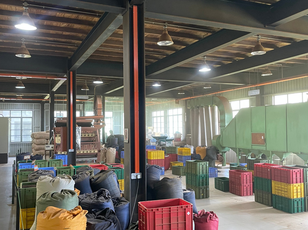 Oak Ray Tea Factory & Museum-拉马伯达必去景点