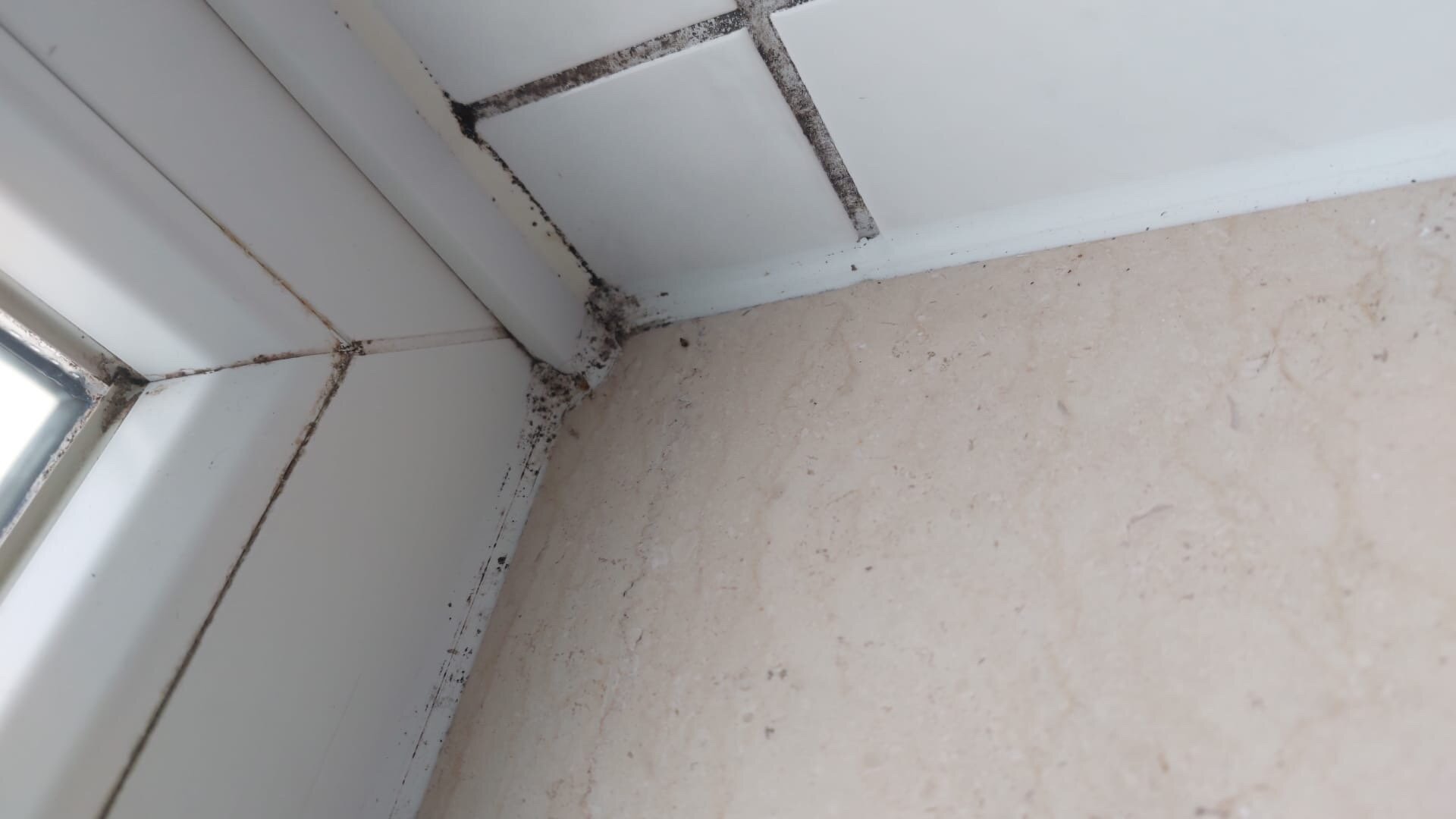 弗里茨酒店餐厅-官方