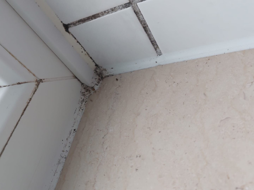 弗里茨酒店餐厅主图