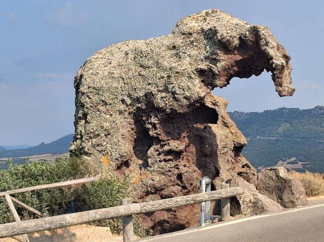 Roccia dell'Elefante-Castelsardo必去景点
