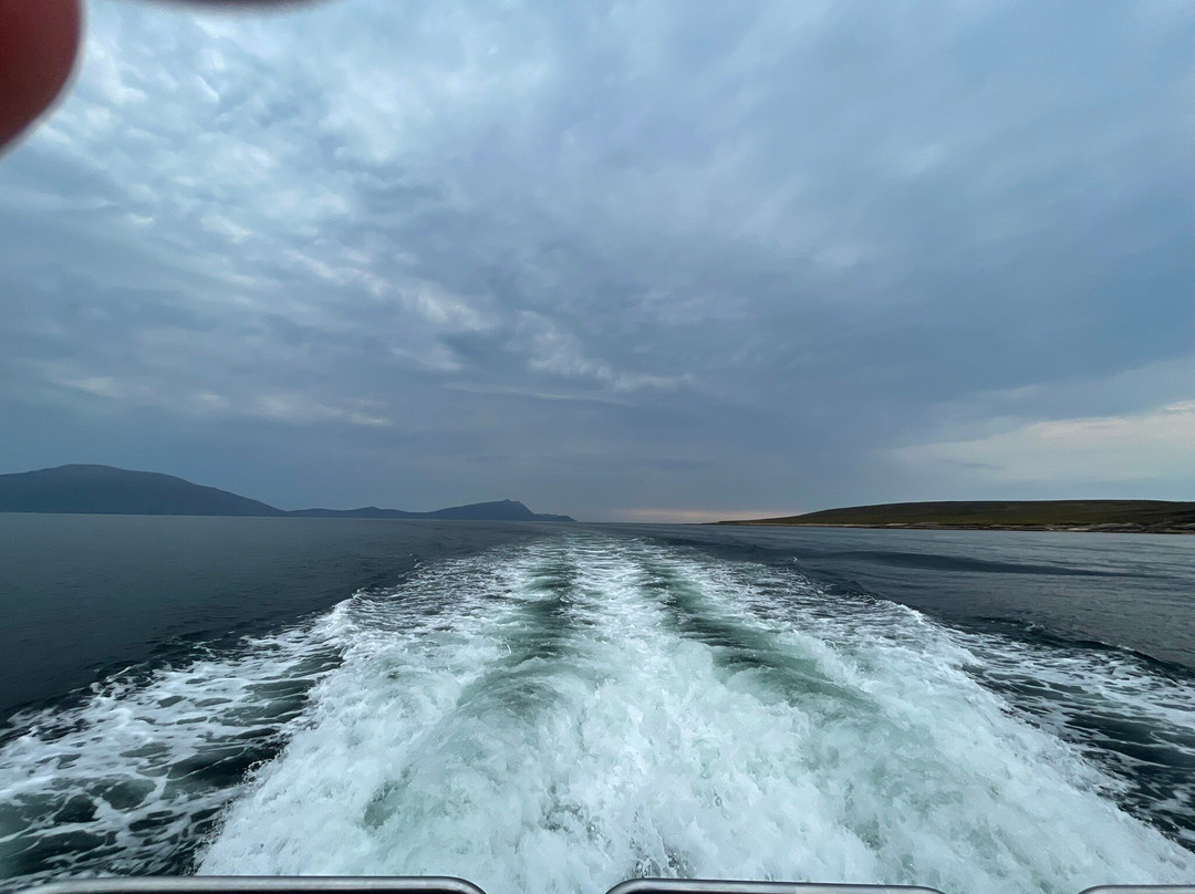 Belmullet Boat Charters - Inishkea Ferry & Sea Safari Tours-Belmullet必去景点