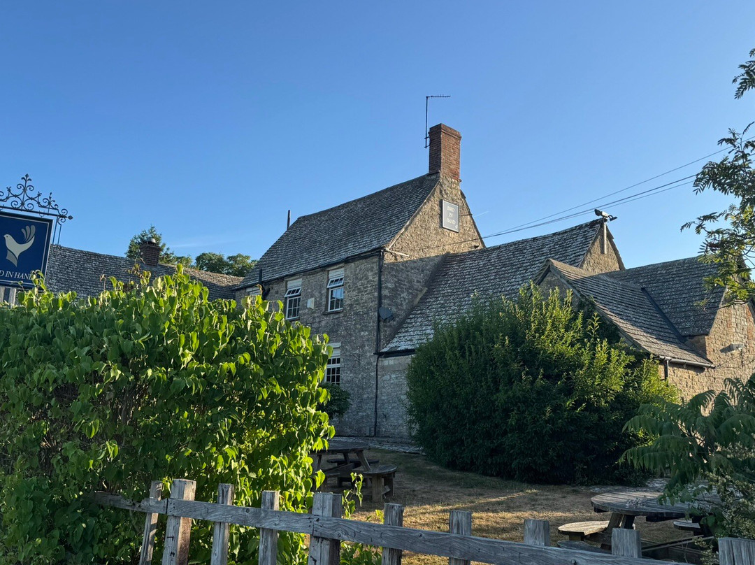 The Bird in Hand主图