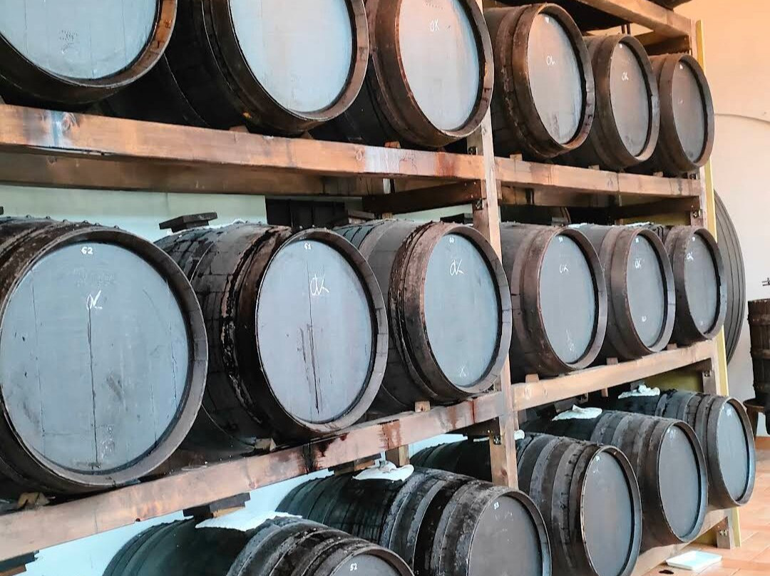 Acetaia Giusti-摩德纳必去景点