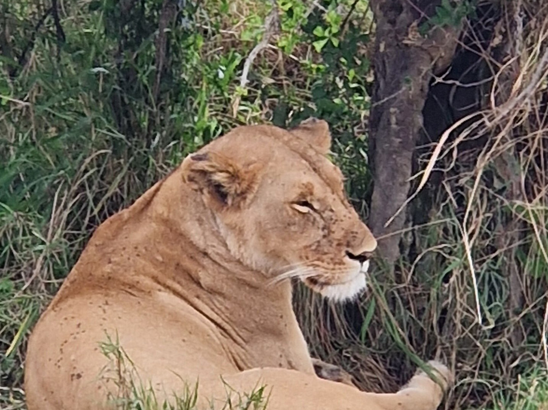 Guide Reagan-奈瓦夏必去景点