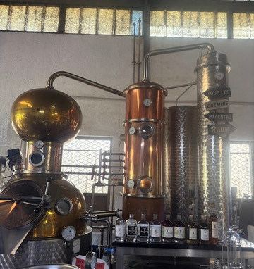 Teva & Flo Découverte Lagon Raiatea / Tahaa-Avera必去景点