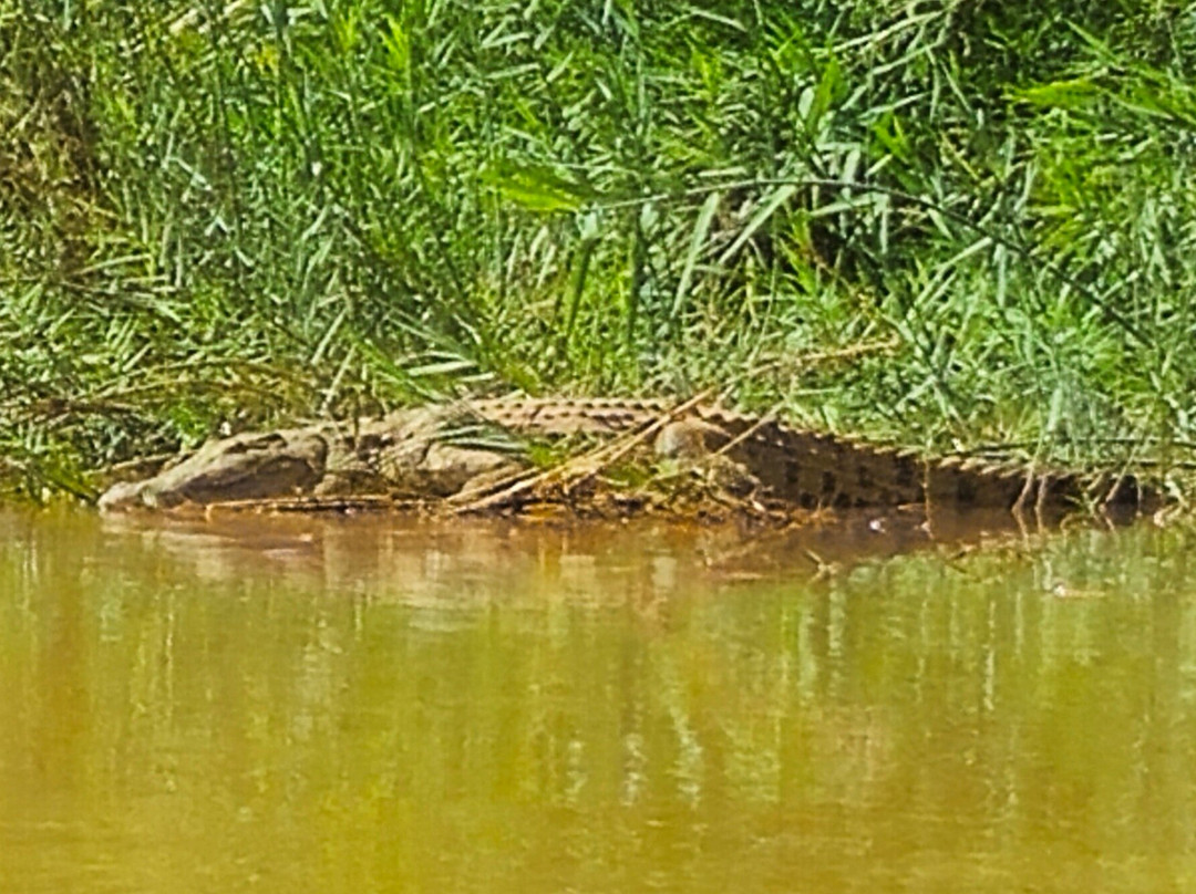 Manambolo River-Tsingy de Bemaraha National Park必去景点
