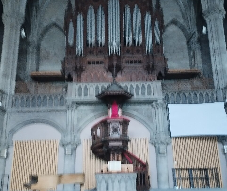Temple Saint Etienne-米卢斯必去景点