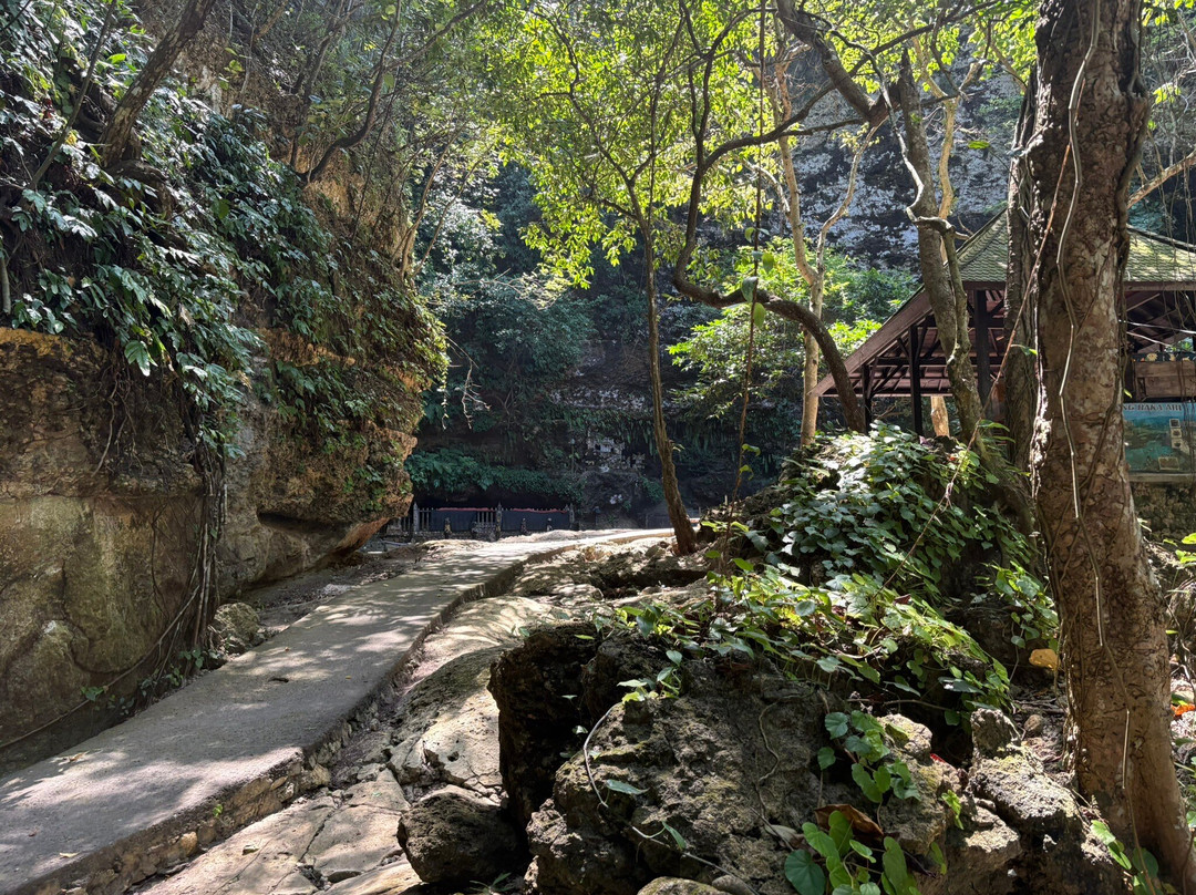 Tembeling Beach and Forest-珀尼达岛必去景点