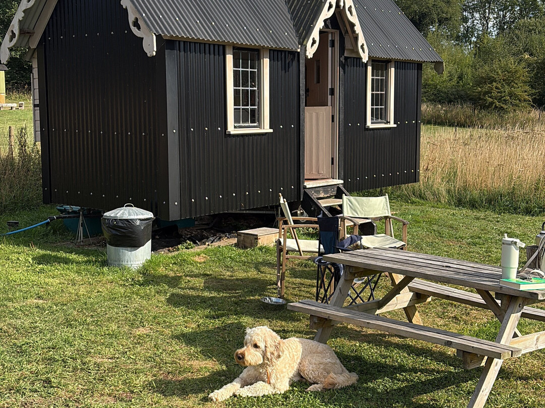 Glamping At Wallops Wood主图