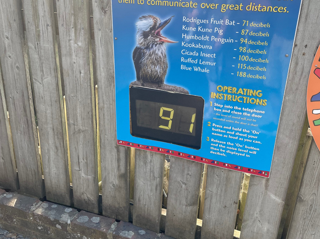 Drusillas Park-Berwick必去景点