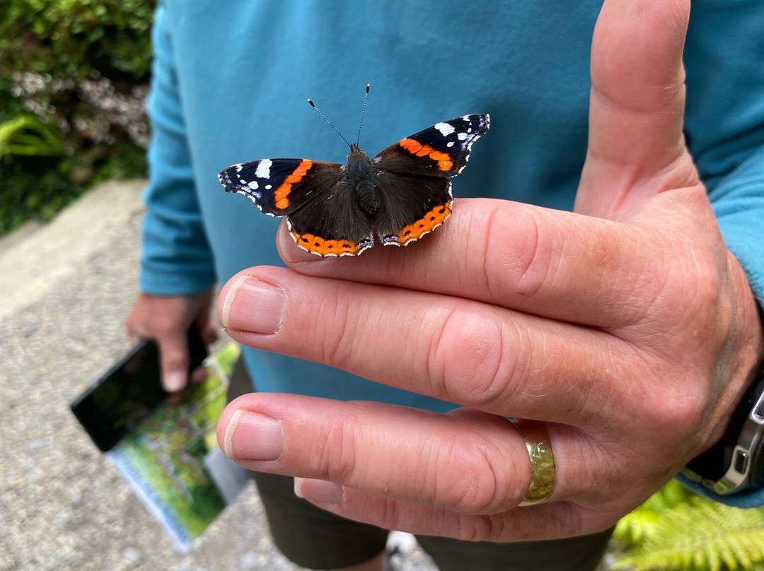 Plas Cadnant Hidden Gardens-Menai Bridge必去景点