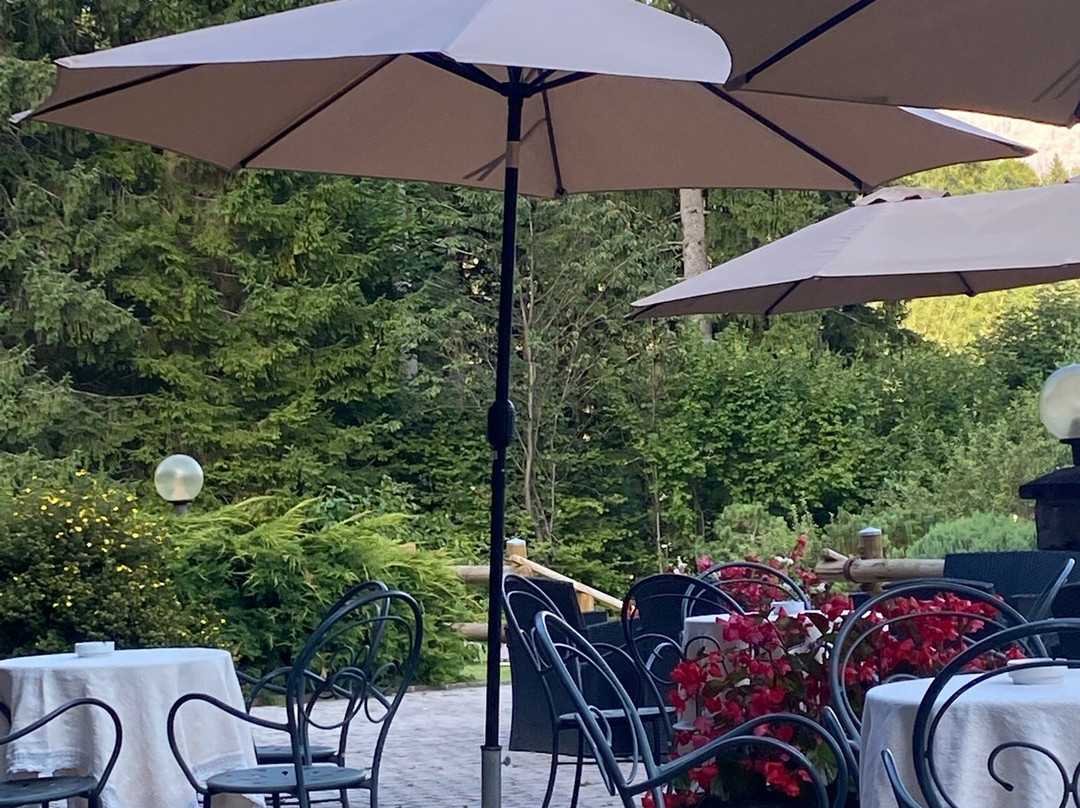 Park Hotel Arnica主图