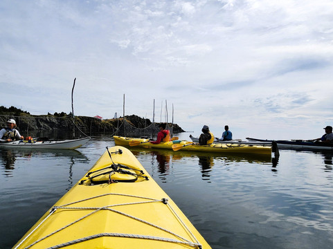 Adventure High Kayaking-Grand Manan必去景点