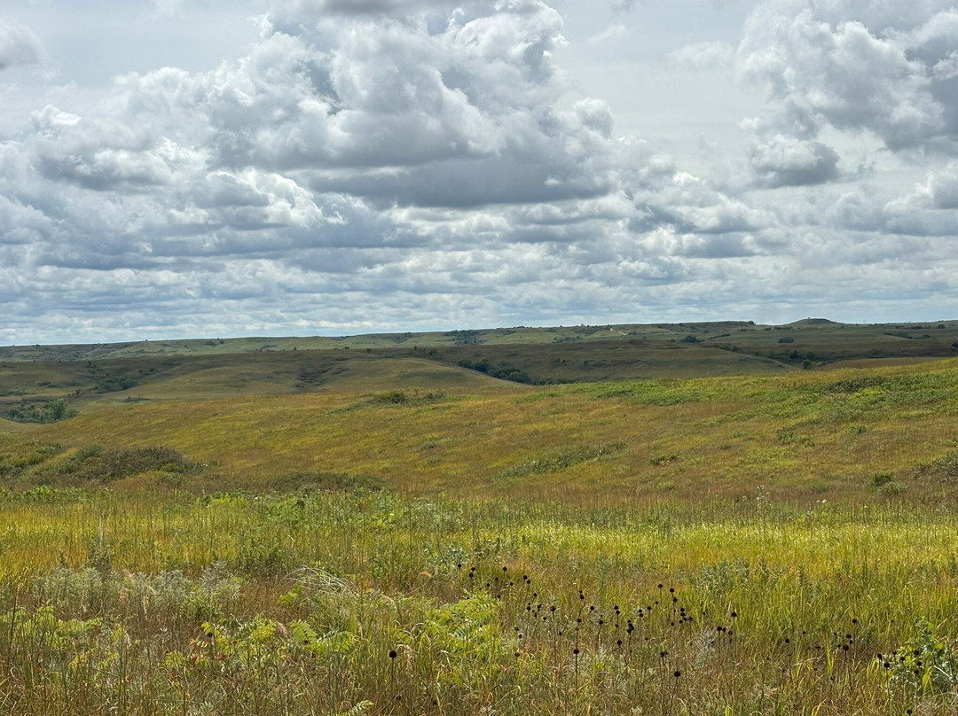 Konza Prairie Biological Station-曼哈顿必去景点