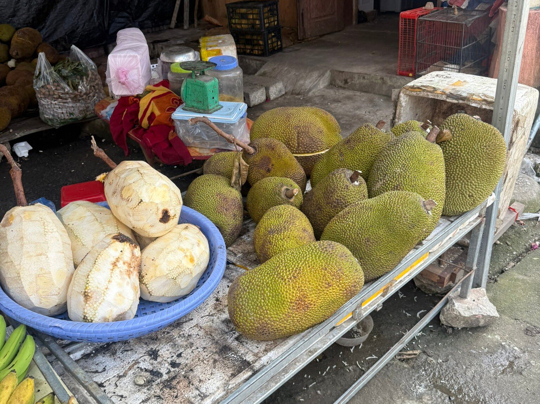Cao Bang Loop Tour-高平必去景点