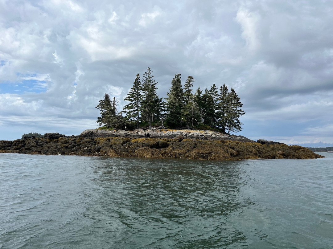 Robertson Sea Tours & Adventures-Milbridge必去景点