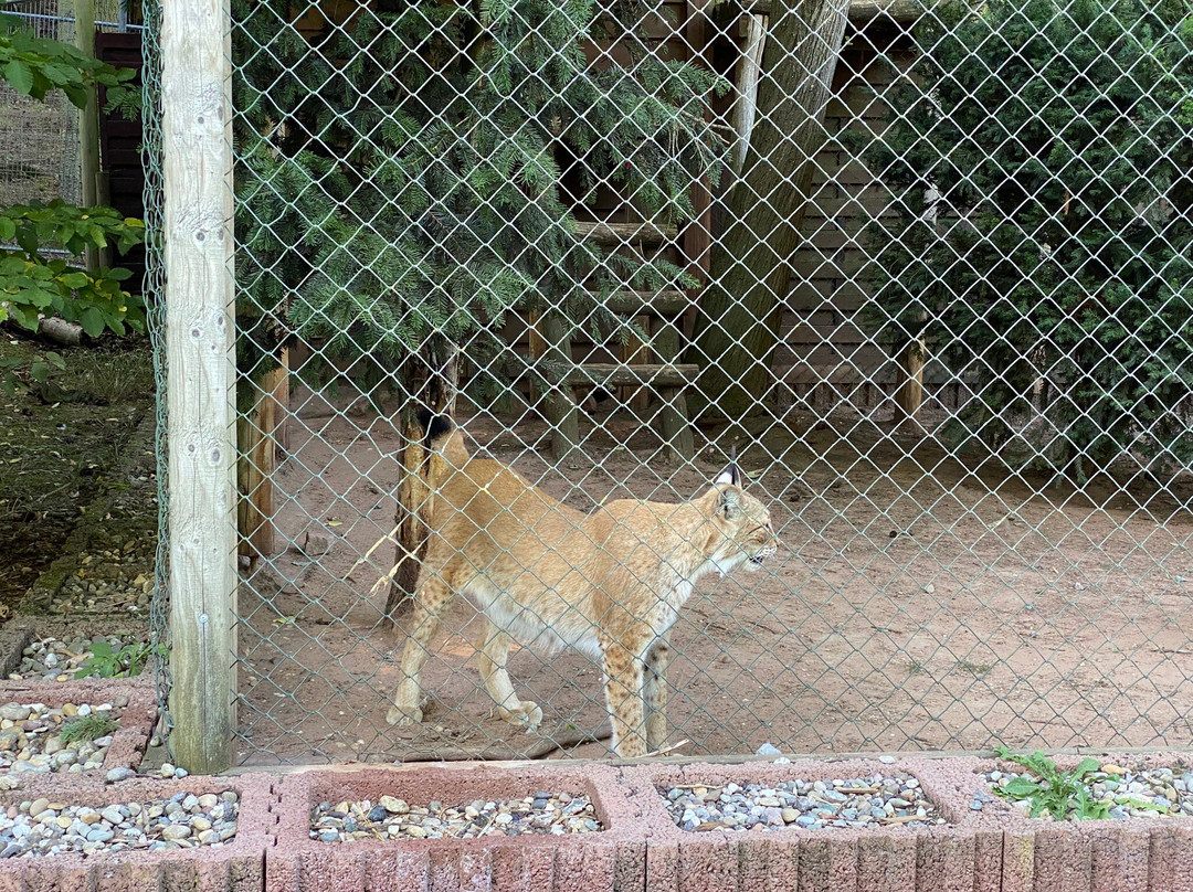 Kurpfalz-Park Wachenheim-Wachenheim an der Weinstrasse必去景点