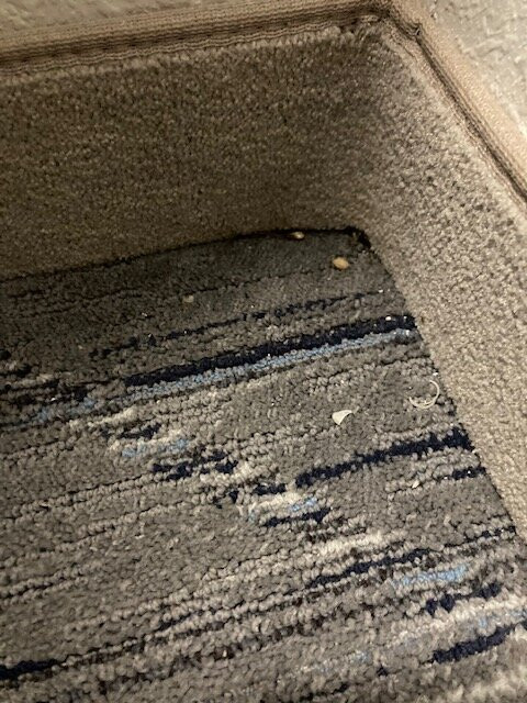 Holiday Inn Express & Suites Chambersburg By IHG主图