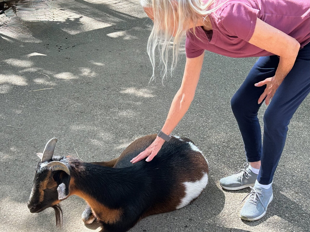 Elmwood Park Zoo-Norristown必去景点