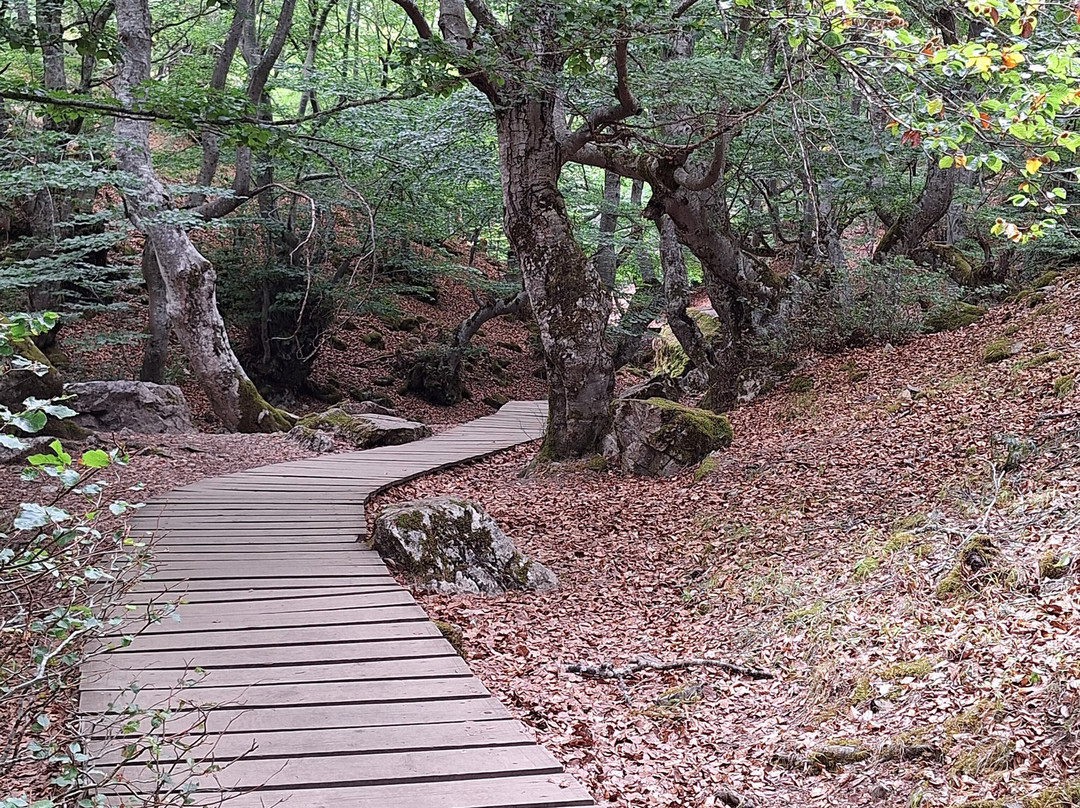 El Faedo-Cinera必去景点