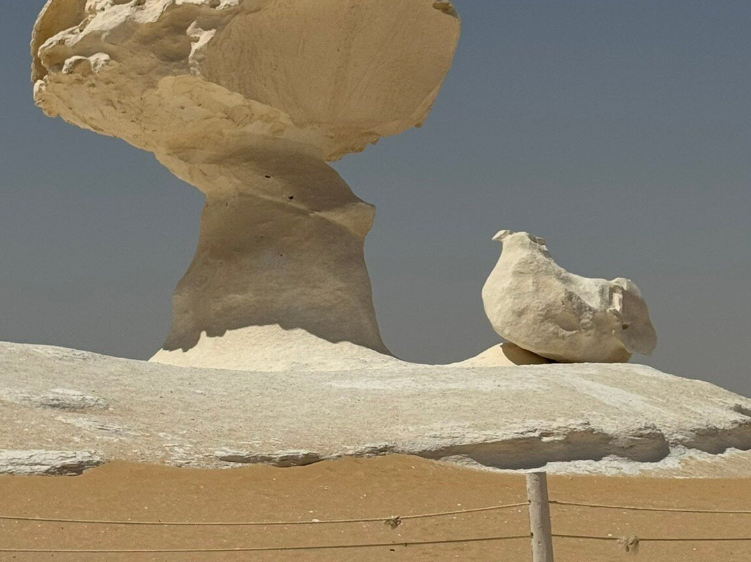 Egypt Western Desert Tours - Day Tour-Bawiti必去景点