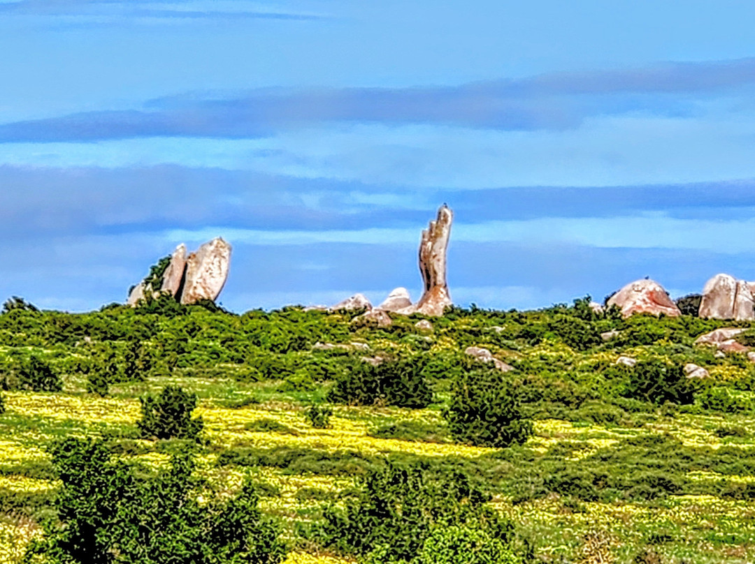 West Coast National Park-West Coast National Park必去景点