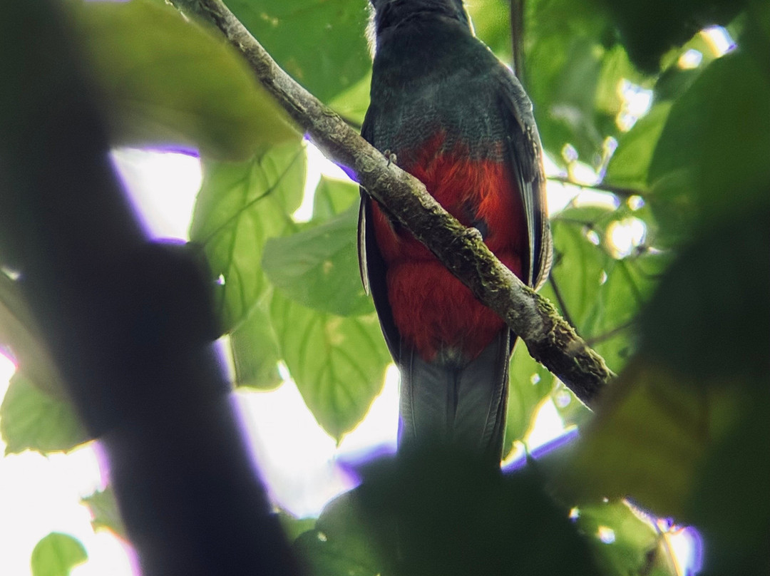 Rancho Tropical-希门尼斯港必去景点