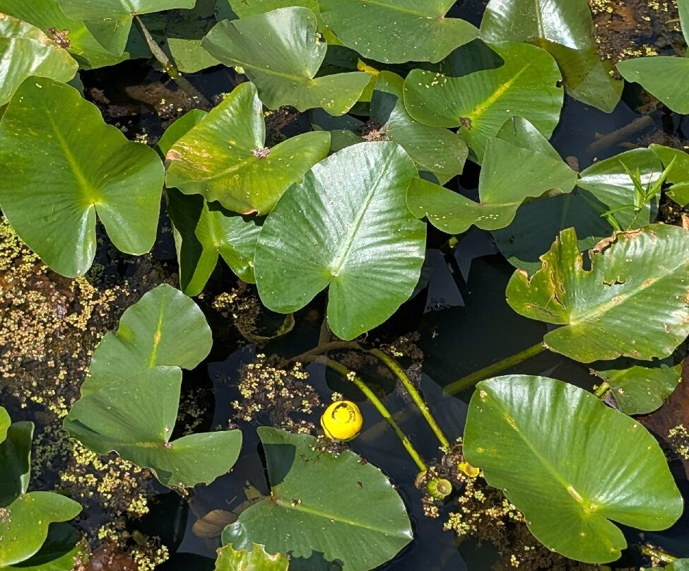 库雅荷加谷国家公园-Brecksville必去景点