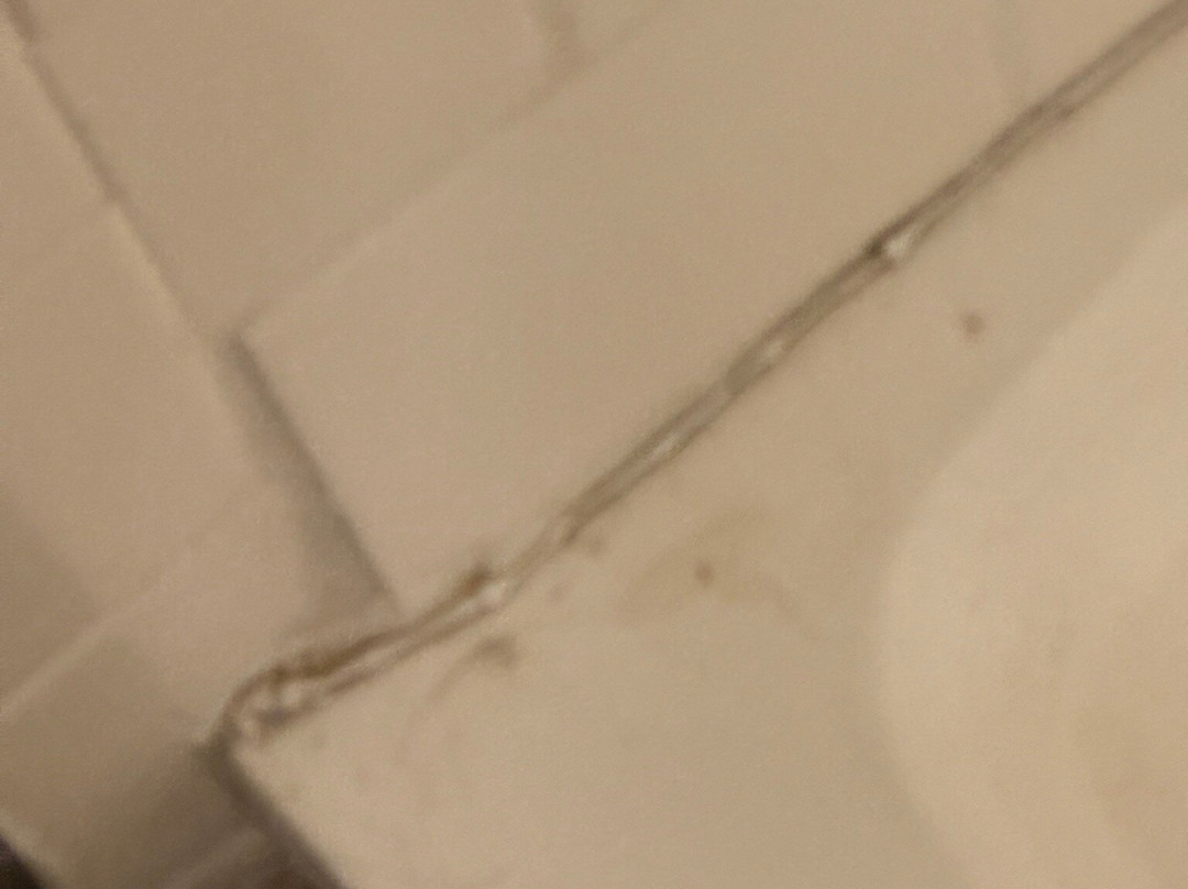 Inn On The Square主图