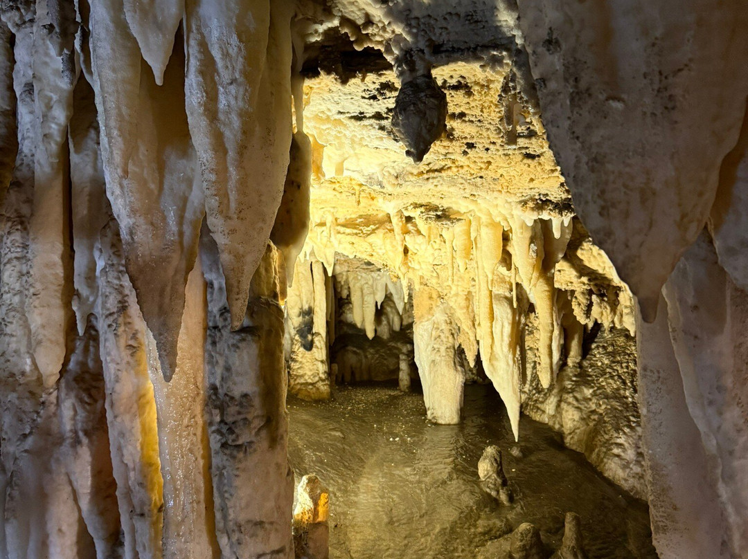 Grotta Antro del Corchia-Levigliani必去景点