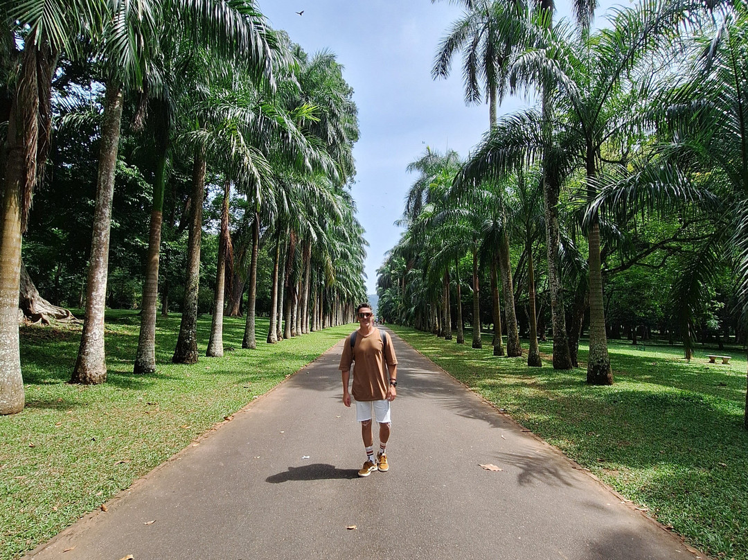 Hola Sri Lanka Tours-凯拉尼亚必去景点