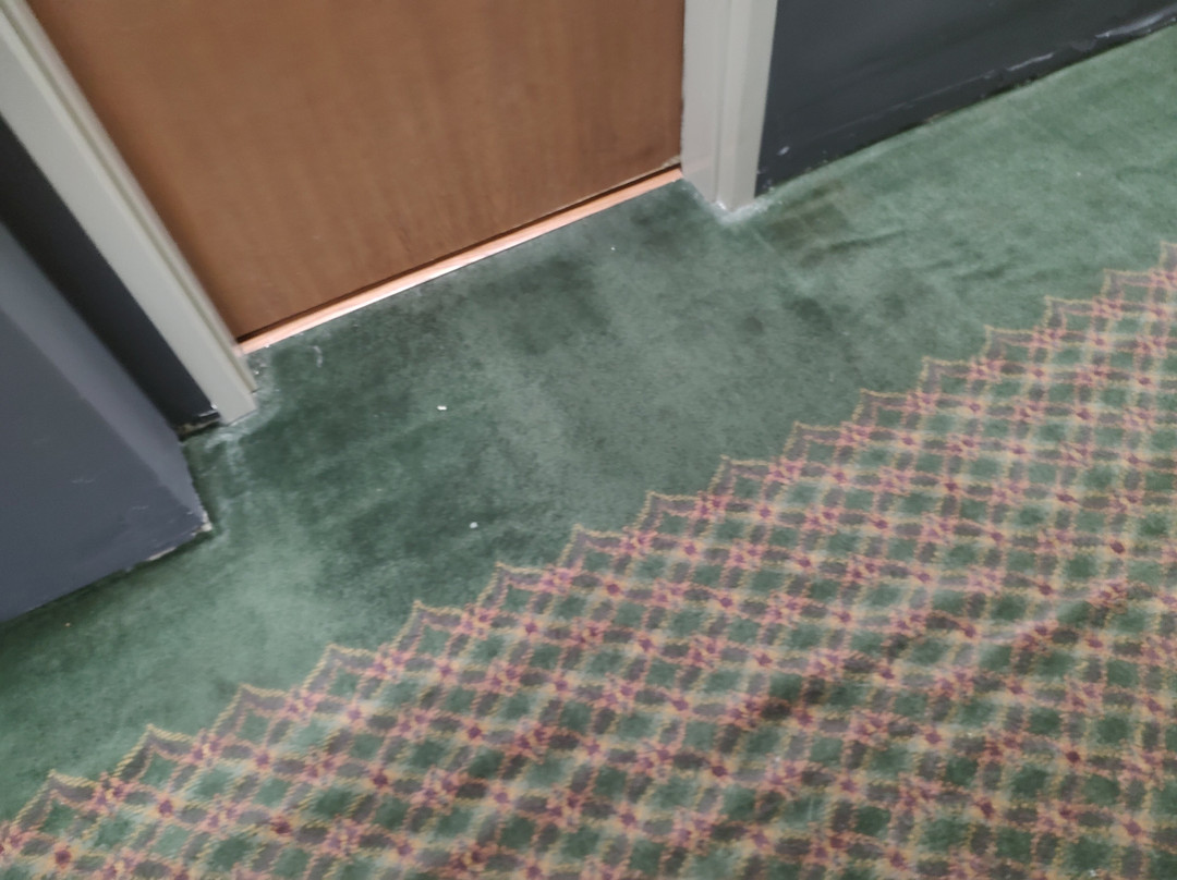 Super 8 by Wyndham Erwin主图