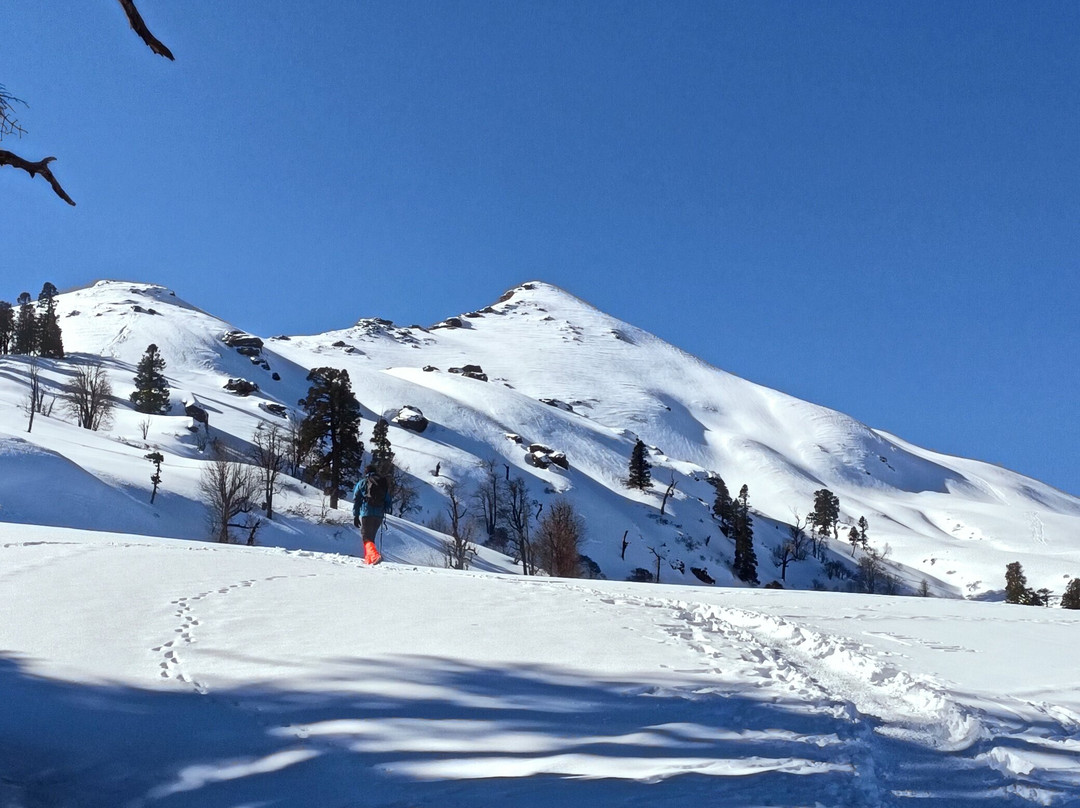 Himalayas Griffon-阿姆利则必去景点