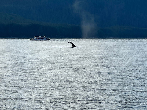 Alaska Galore Tours-朱诺必去景点