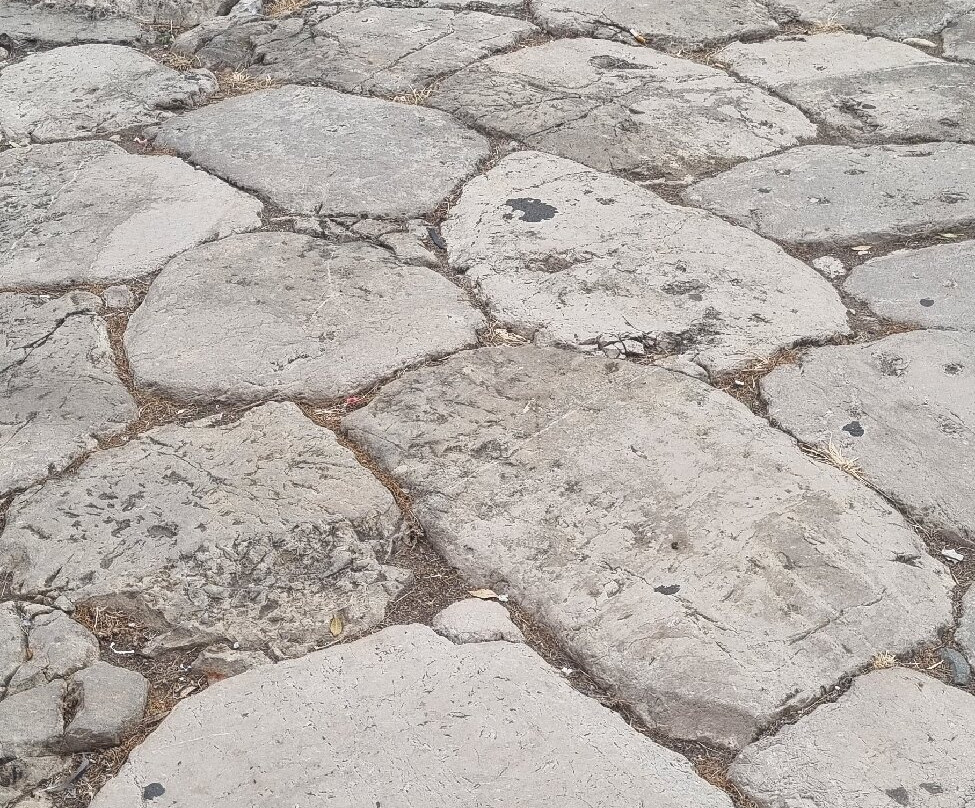 Teatro Romano-特拉西那必去景点