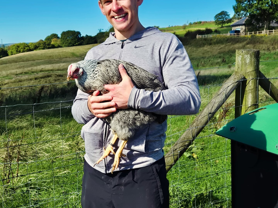 Meadowcroft Farm Alpacas-Bury必去景点